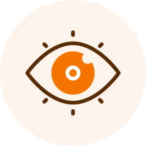 Vision